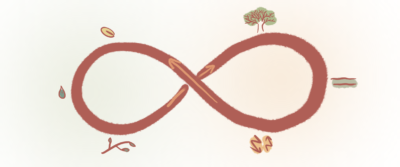 Jahresrückblick Eco cycle